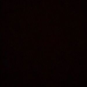 Meet your Posher, Daisy